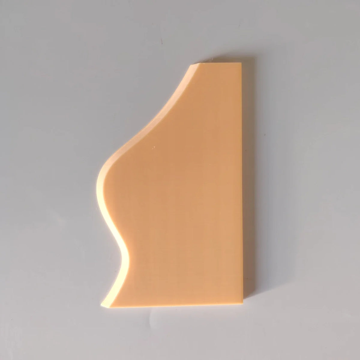 Plastik Sistre (6 Model)